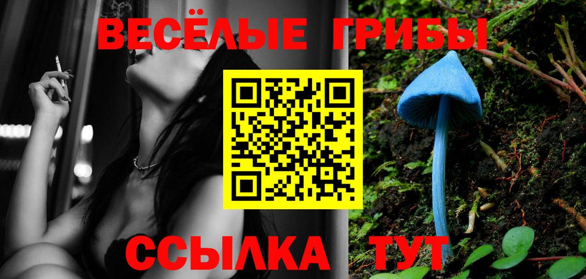 Боровичи  Галлюциногенные грибы Magic Shrooms  Вход с VPN 