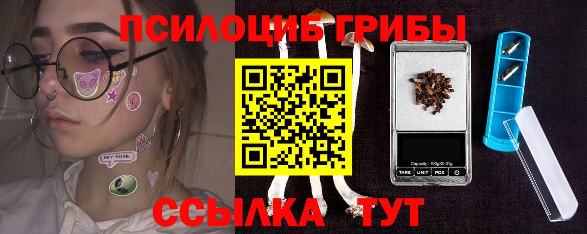 Псилоцибиновые грибы GOLDEN TEACHER Боровичи
